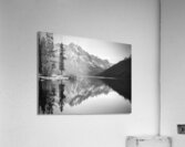 Lone Tree BW Acrylic Print