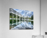 A Thrill Acrylic Print