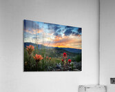 Little Things Acrylic Print
