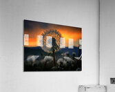 Orbit Acrylic Print