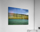 Dreaming Acrylic Print