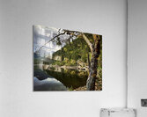 Magic Acrylic Print