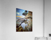 Auckland beach Acrylic Print