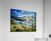 Blue and Gold Acrylic Print