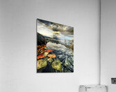 Wanaka Storm Acrylic Print