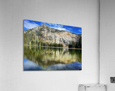 Still Moment Acrylic Print