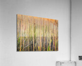 Glow Sticks Acrylic Print