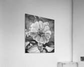 Happiest BW Acrylic Print