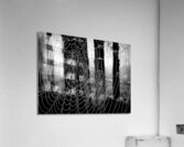 Spide Web Acrylic Print