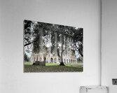 Colosseum Tree Acrylic Print