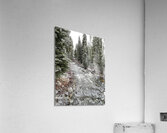 Winter Stream Acrylic Print