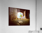 Small Talk Acrylic Print