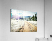 Sula Drive Acrylic Print