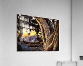 Sedona Views Acrylic Print