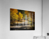 Backroads Acrylic Print
