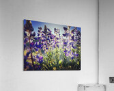 Purple Friends Acrylic Print