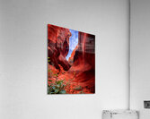 love Acrylic Print