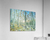 See Through Acrylic Print