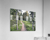 Paths Acrylic Print