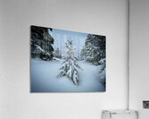 Spotlight Acrylic Print