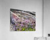 support system Acrylic Print