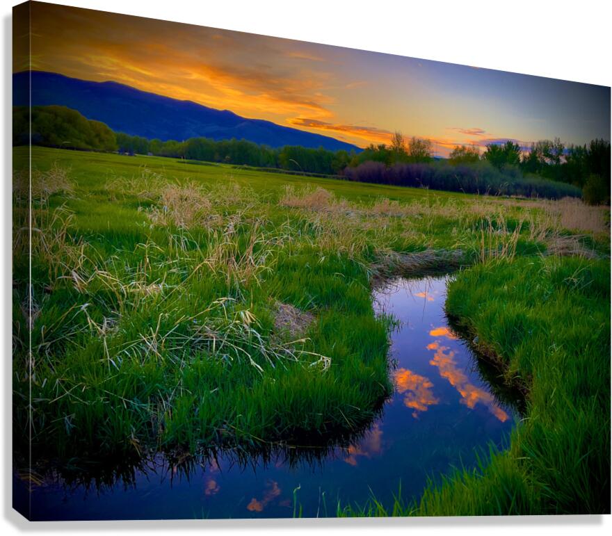 Bend in the Road Canvas Print
