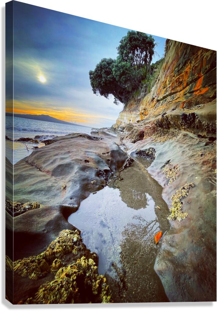 Auckland beach Canvas Print