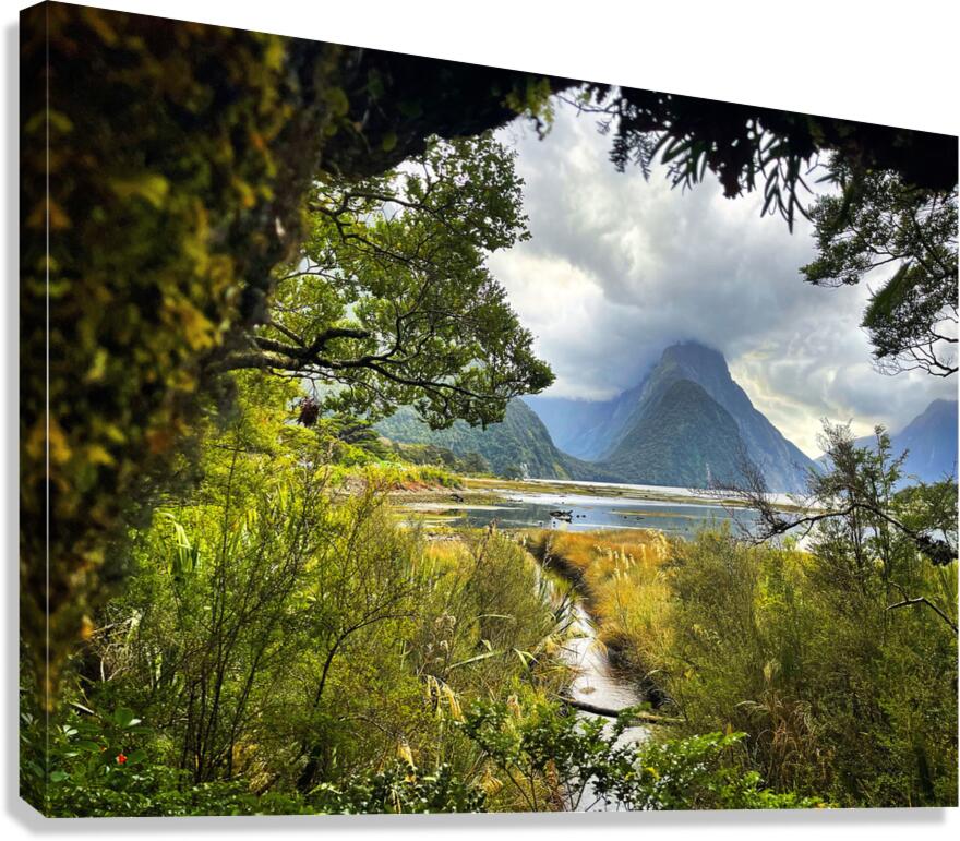 Milford Sound Canvas Print