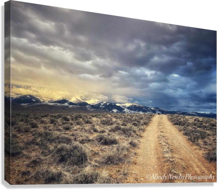 Life Road 2 Canvas Print