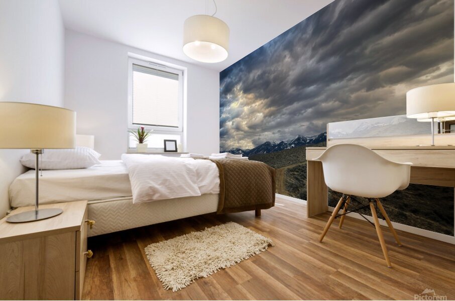 Storm Range Mural print