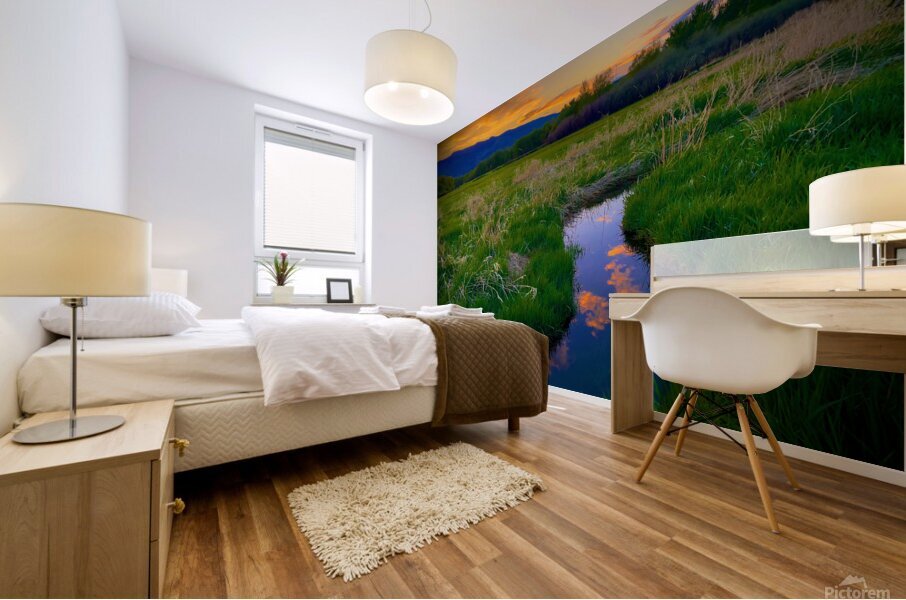 Bend in the Road Mural print