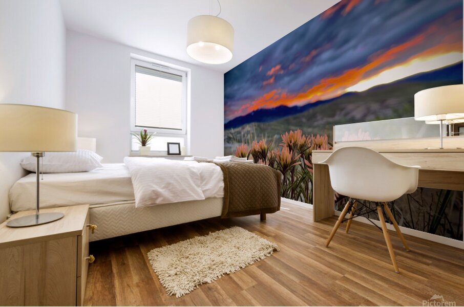 Salmon Spring Mural print