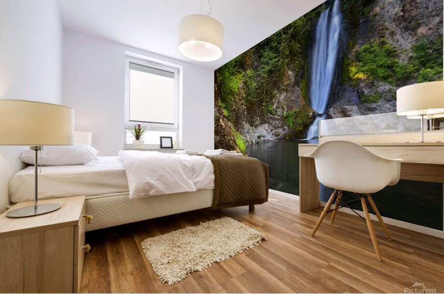 Explorations Mural print