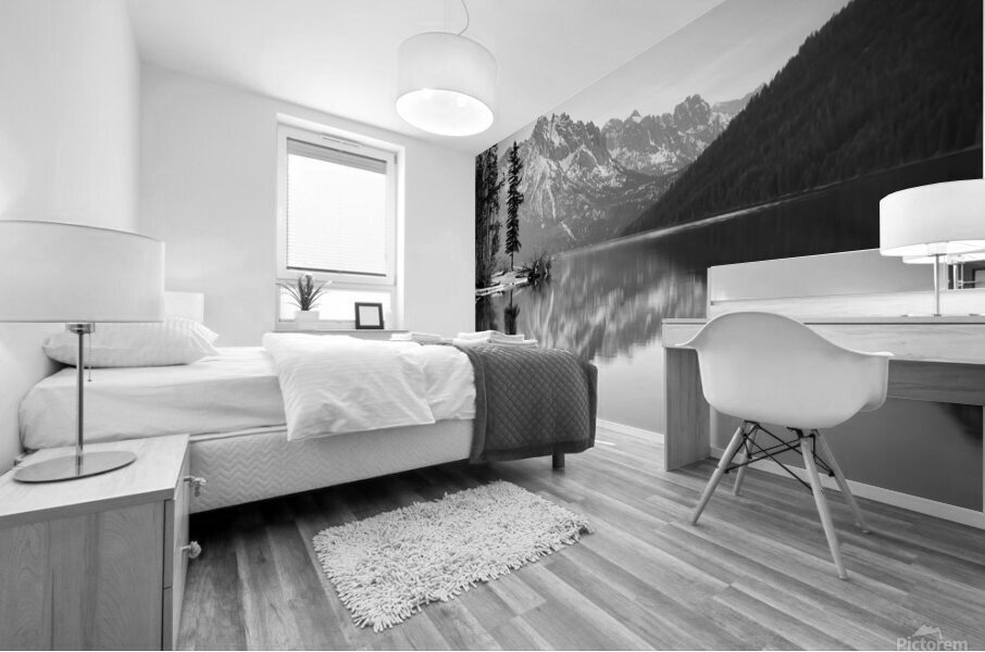 Lone Tree BW Mural print