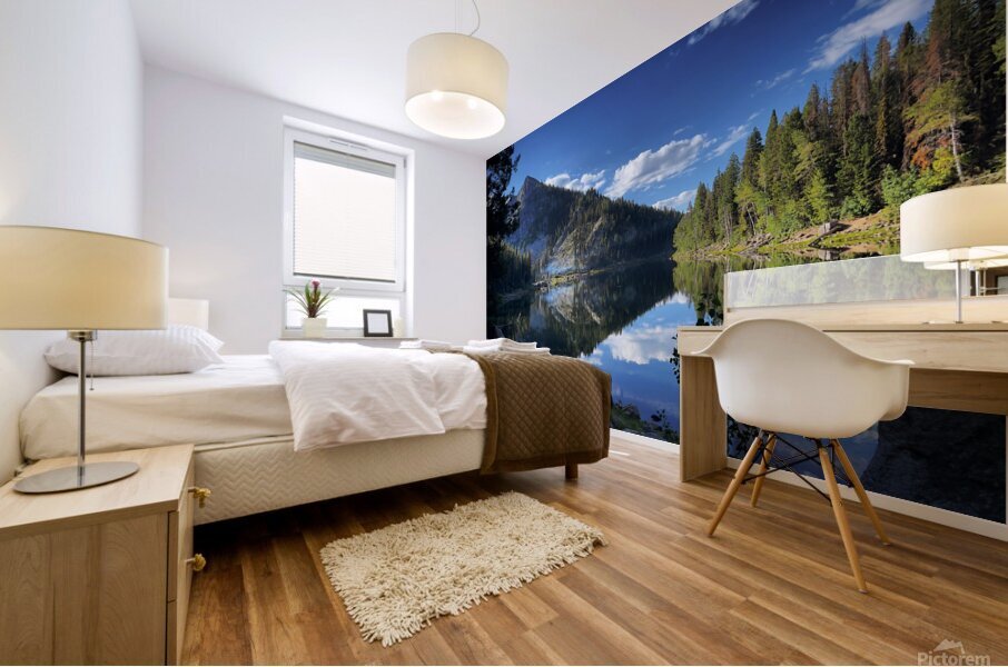 Big Beautiful World Mural print