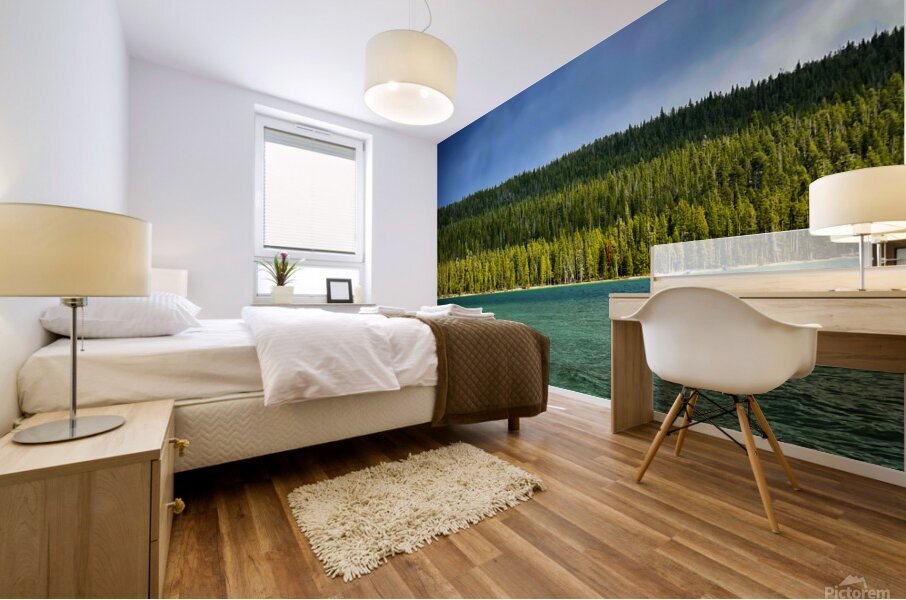 Dreaming Mural print