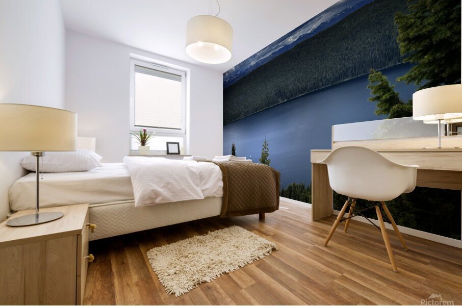 Away Mural print