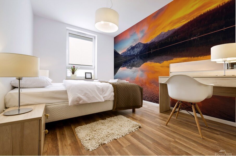 Idahome Mural print