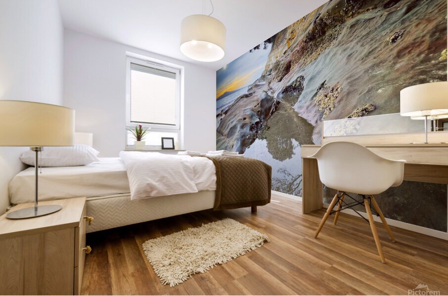 Auckland beach Mural print