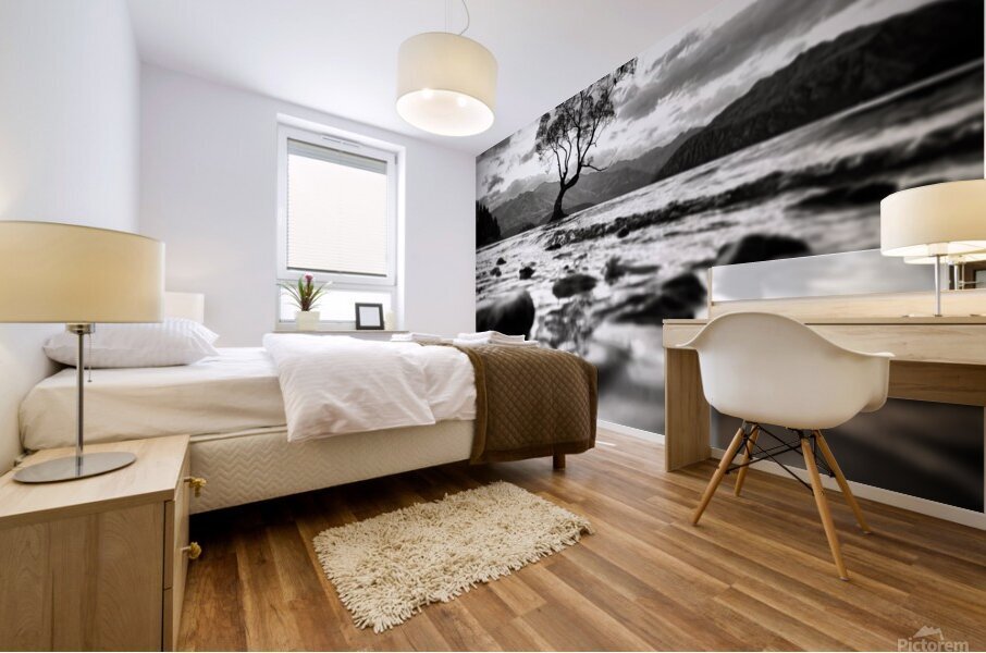 Wanaka Tree BW Mural print