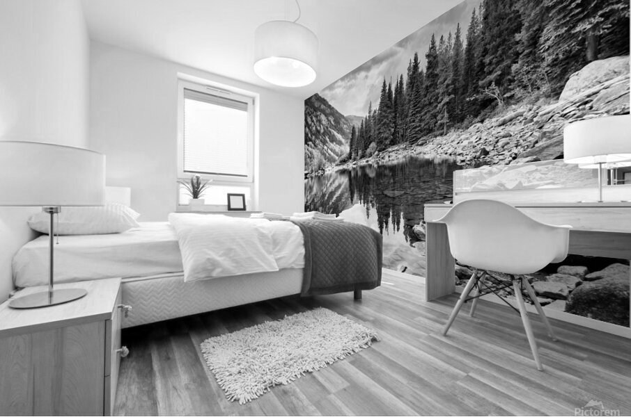 Lava BW Mural print
