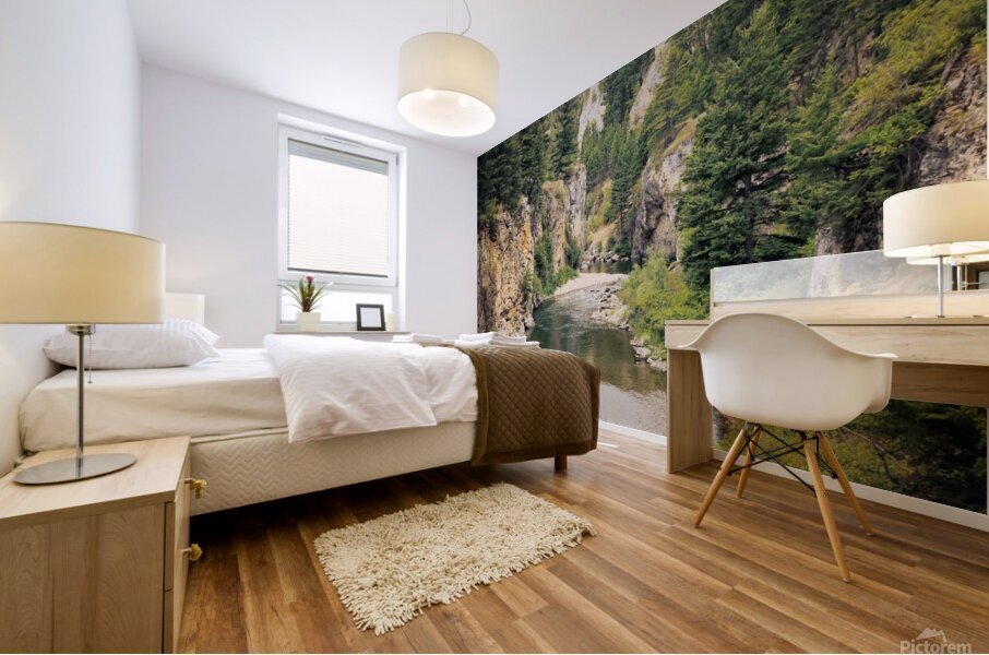 Sluice Canyon Mural print