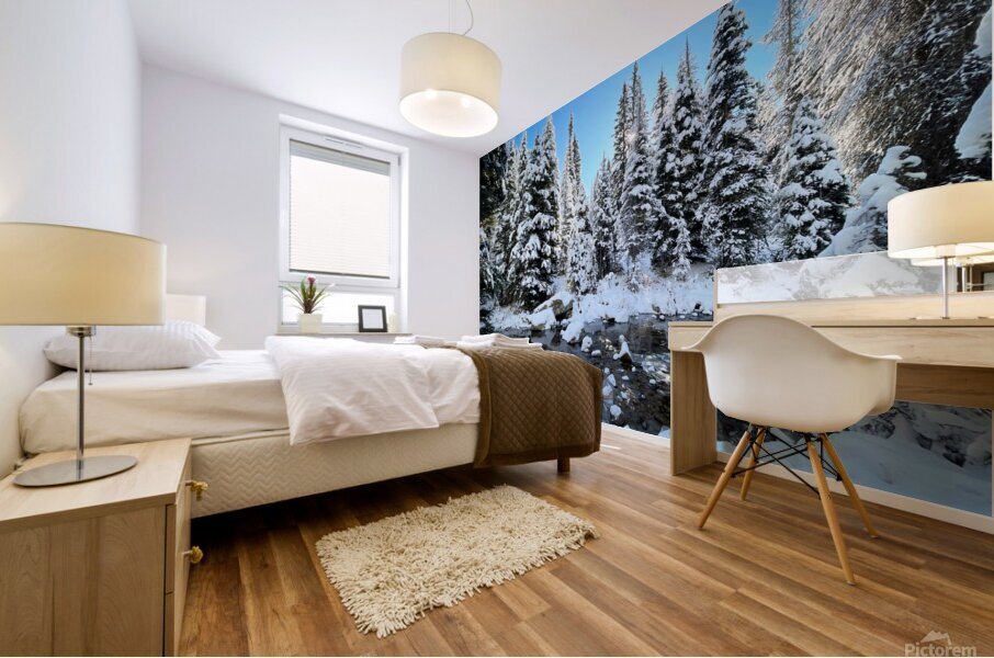Snowslide Trailhead Mural print