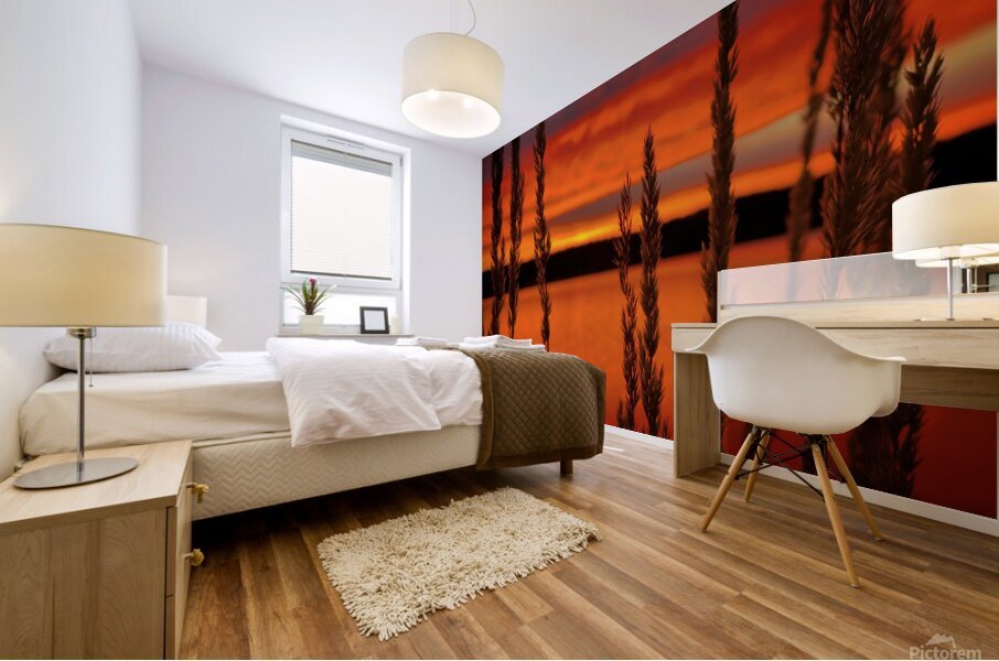 Red Sunset Payette Mural print