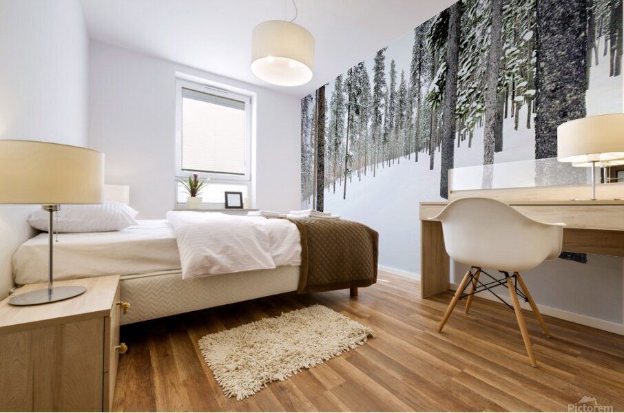 Winter Trail Mural print
