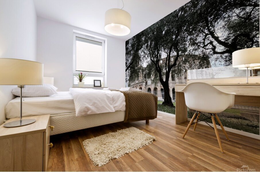 Colosseum Tree Mural print