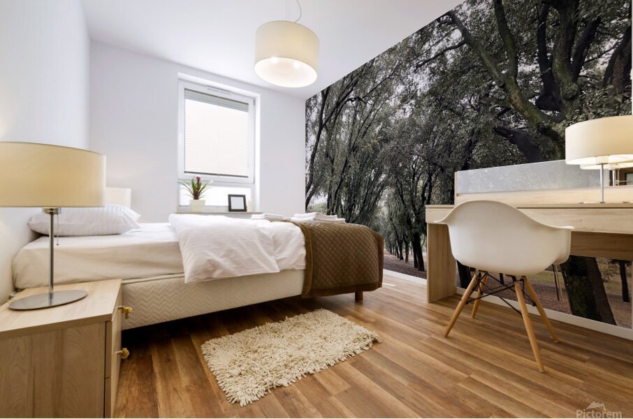 Tree Rows Rome Mural print