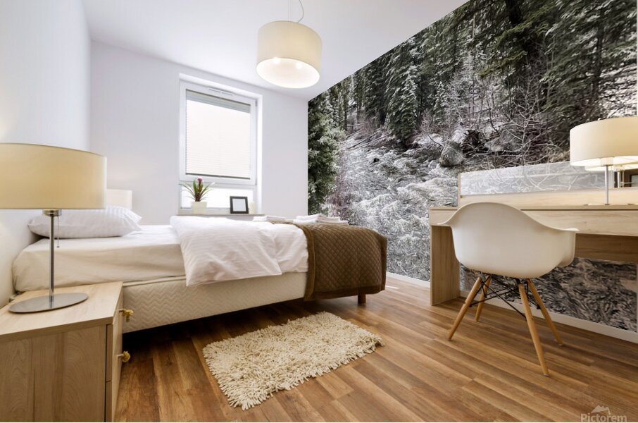 Winter Stream Mural print