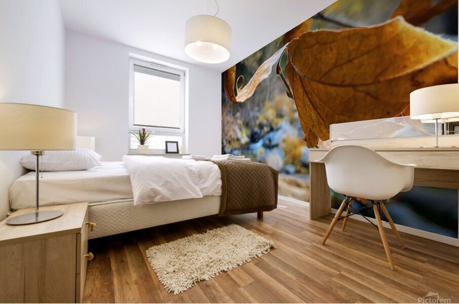 Serene Walk Mural print