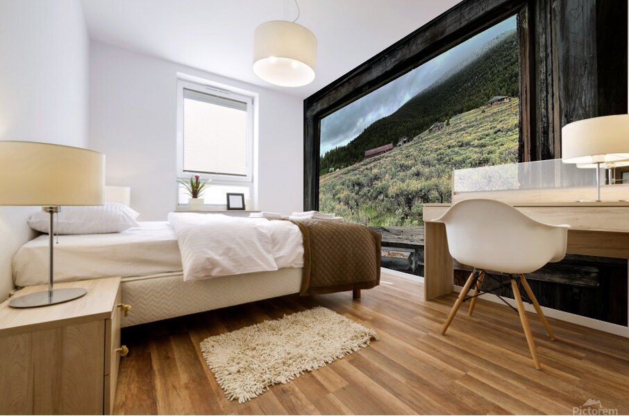Looking Past Mural print